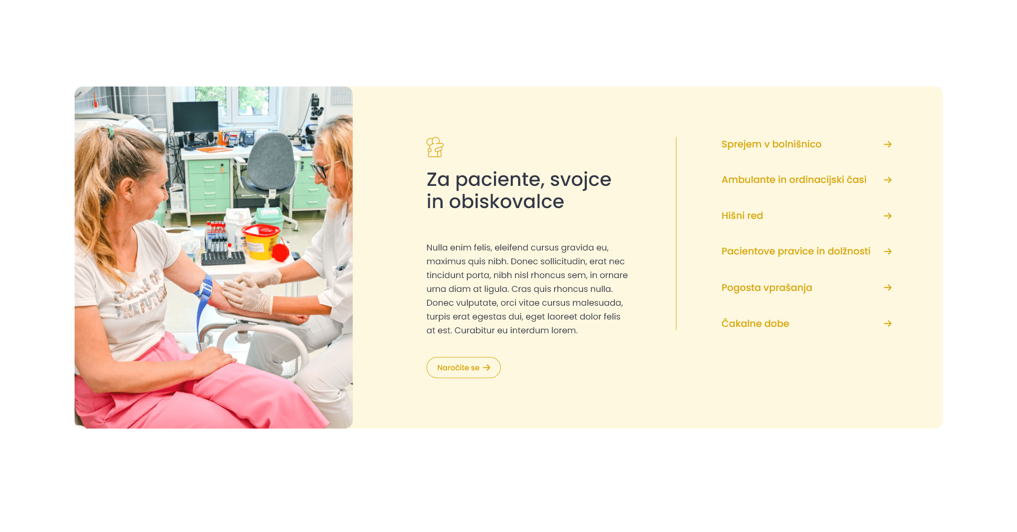 Psihiatrična bolnišnica Ormož spletna vsebinska stran